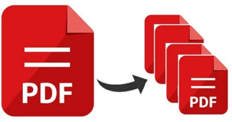 A Step-to-Step Guide To Split PDF Files